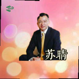 苏晴